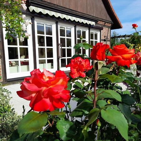 Ferienhaus Gartower See 外观 照片