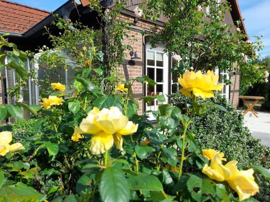 Ferienhaus Gartower See 外观 照片