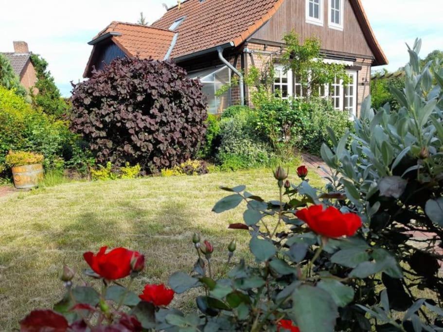 Ferienhaus Gartower See 外观 照片
