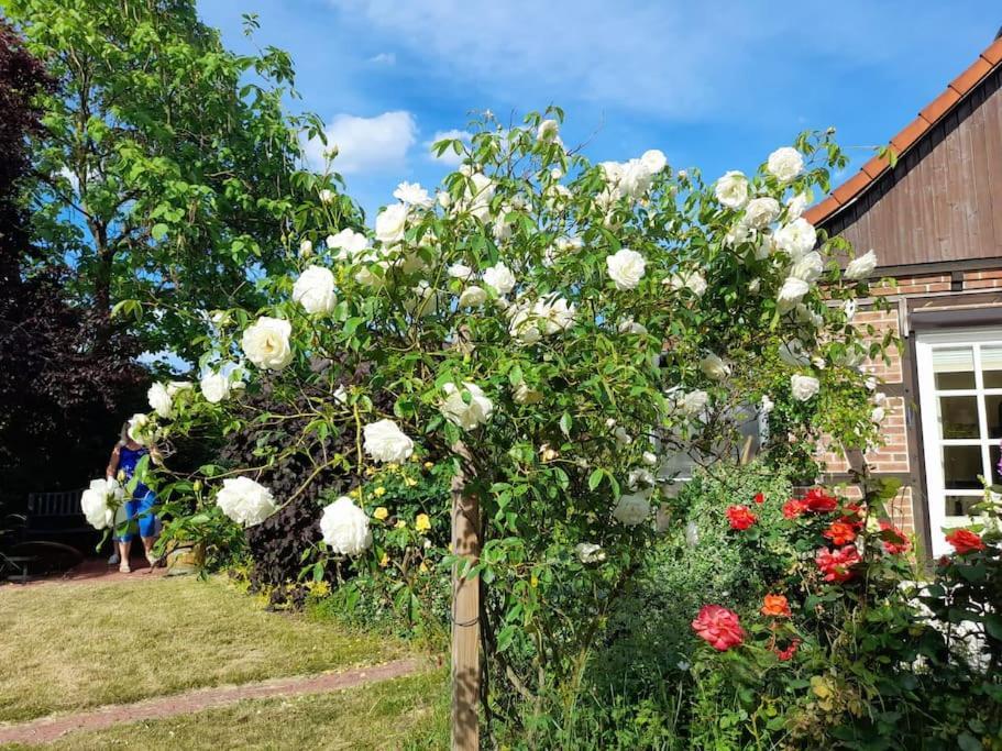 Ferienhaus Gartower See 外观 照片