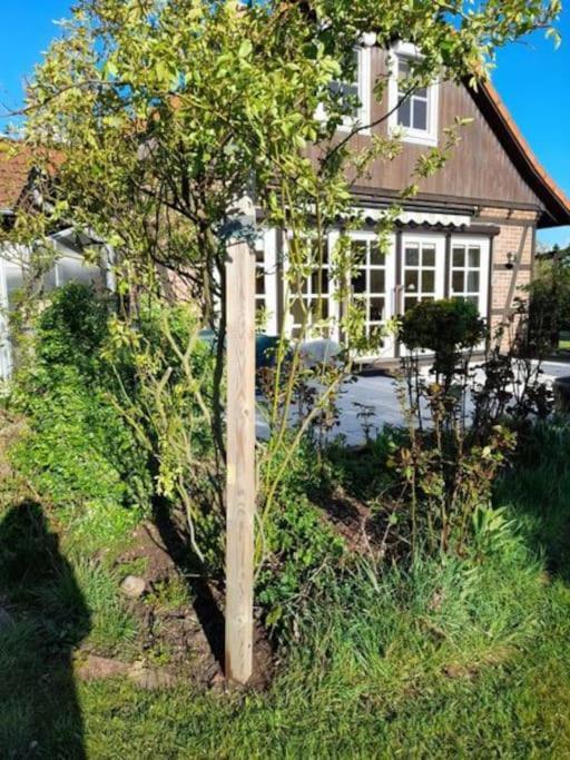 Ferienhaus Gartower See 外观 照片