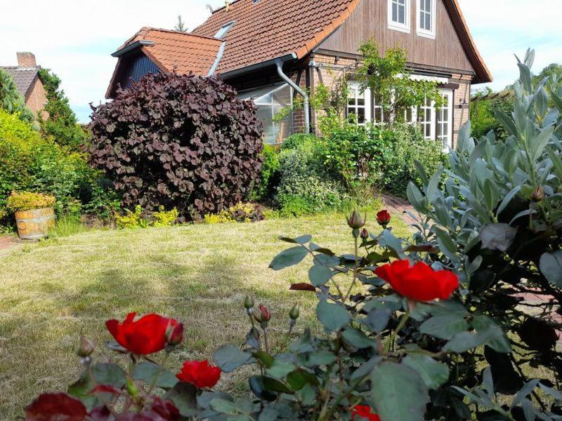 Ferienhaus Gartower See 外观 照片