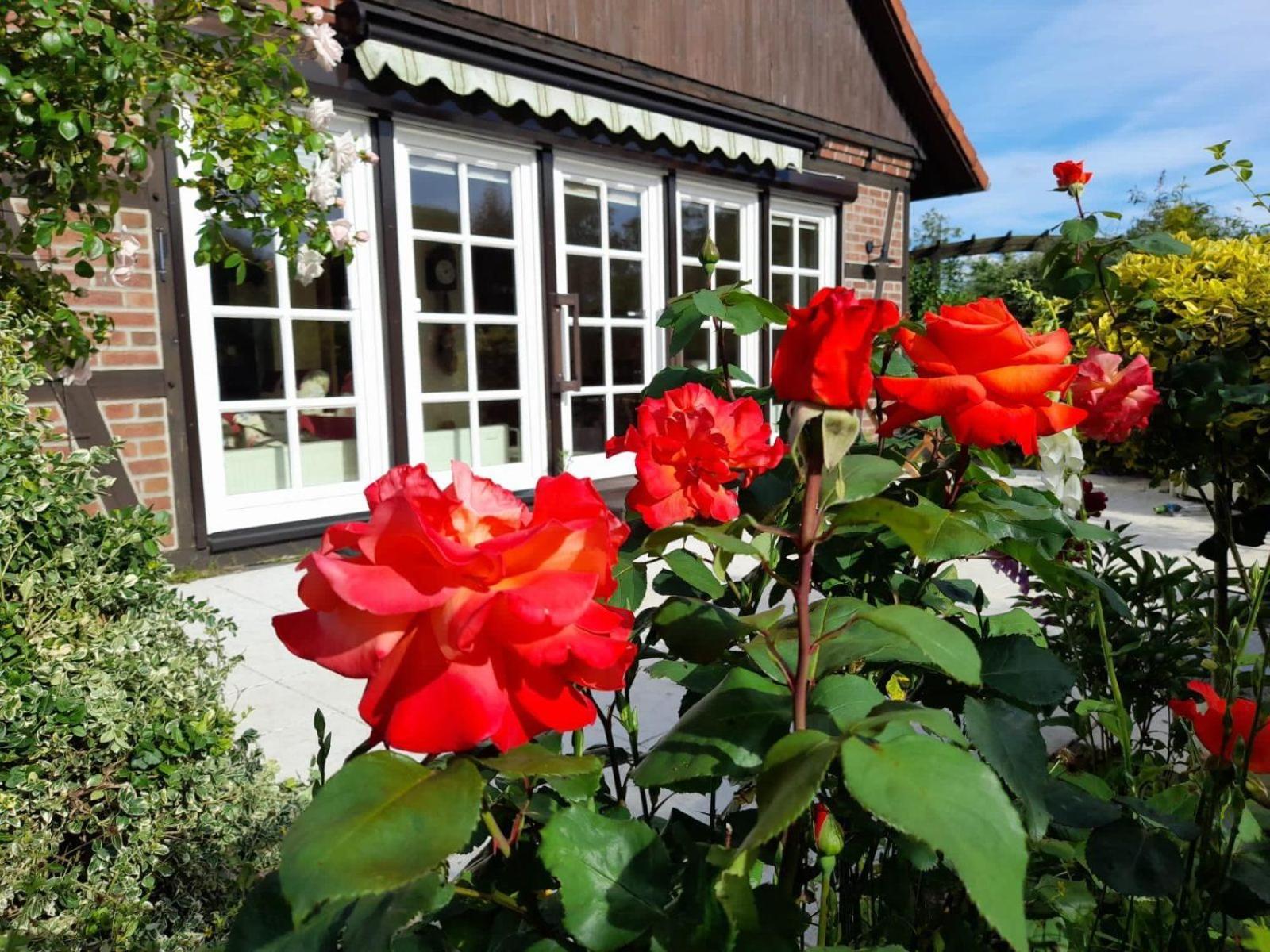 Ferienhaus Gartower See 外观 照片